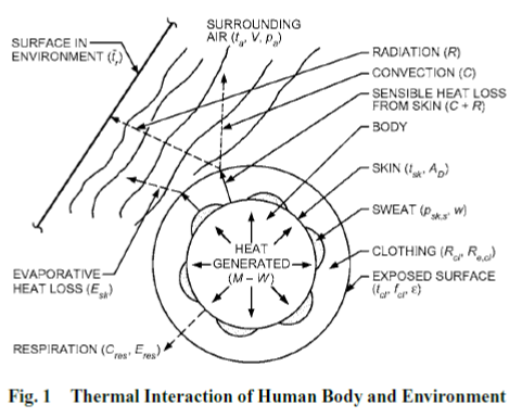 Thermal Interaction Human Body.PNG