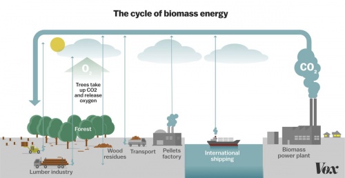 Diagram biomass.jpg