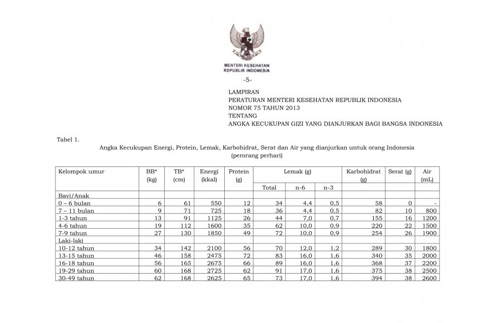PMK No. 75 ttg Angka Kecukupan Gizi Bangsa Indonesia-05.jpg